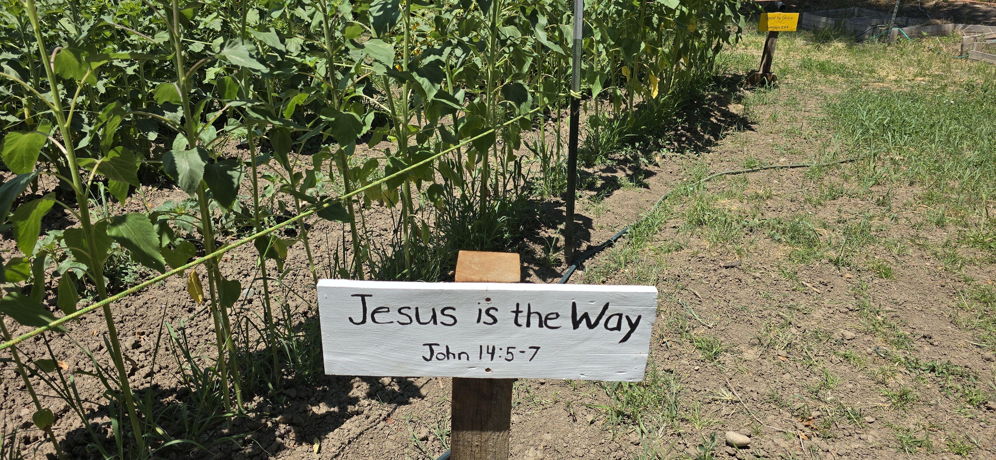 Jesus is the Way sign in the church garden